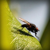 /album/sampblogoulbou/photolia-a04-jpg/