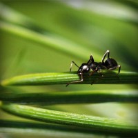 /album/sampblogoulbou/photolia-a05-jpg/