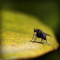 /album/sampblogoulbou/photolia-a07-jpg/