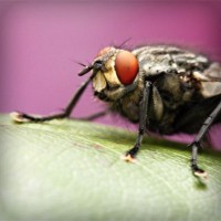/album/sampblogoulbou/photolia-a08-jpg/